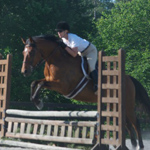 2013vhsa-jumper3012s
